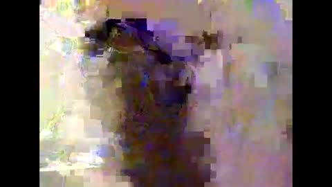 ALLYN online show from September 10, 7:20 am