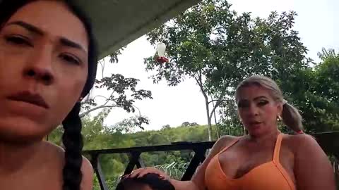 kittens online show from May 25, 2:01 pm