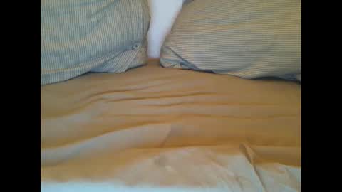 Snapshot of hot_lars chatting on March 1, 11:26 pm Lars online show from March 1, 11:26 pm