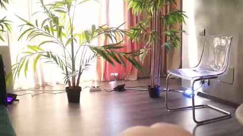 Anais online show from February 14, 11:57 am