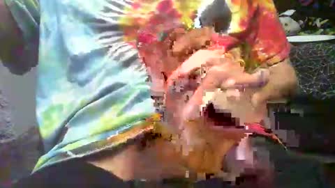 hotdick4200 online show from November 9, 8:40 am