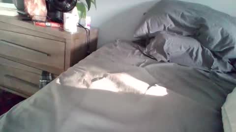 hotdog1124 online show from September 22, 11:58 am