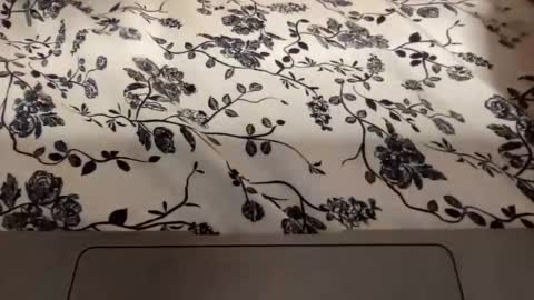 Annabelle online show from October 29, 12:56 am