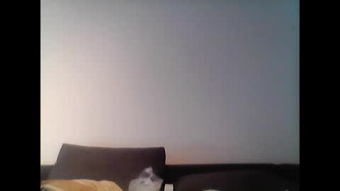 hubikush22 online show from February 25, 3:31 pm