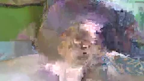 hugo_theboss_ online show from February 8, 12:06 pm