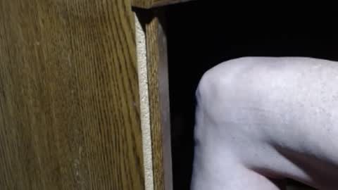 hungsofine online show from January 12, 8:57 pm