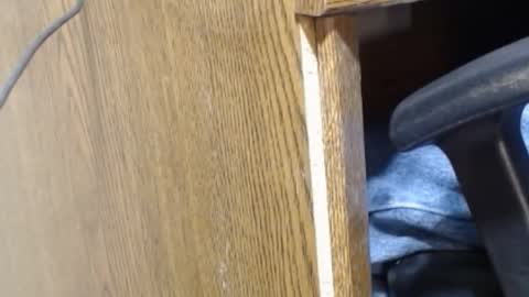 hungsofine online show from December 23, 9:40 pm