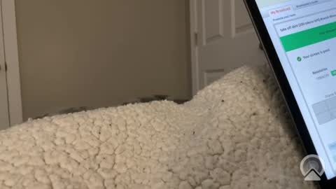 hungtwinkcock1 online show from March 17, 12:43 pm