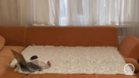 hyperfixation online show from January 18, 5:38 am