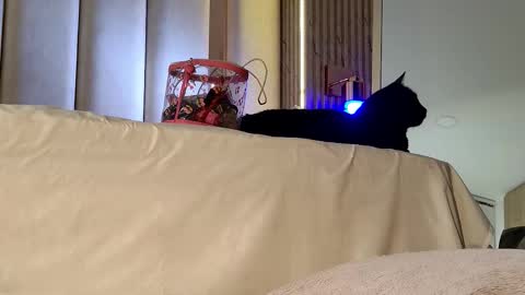 Nyxy online show from November 20, 10:03 am