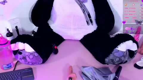 Snapshot of iamstephanie13 chatting on January 23, 5:56 am Steph - Online Again   - 1 DECEMBER online show from January 23, 5:56 am