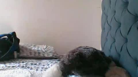 Ian-Andres online show from May 5, 7:52 pm