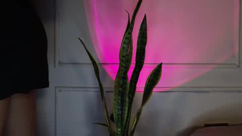 Crystall online show from October 3, 5:38 am