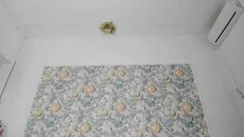 illegal_lorry online show from September 11, 4:58 am