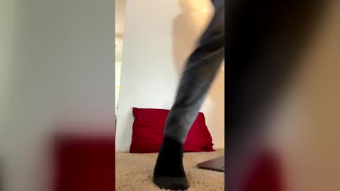 imdirtydan024 online show from May 29, 6:11 am