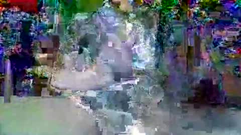 in201943 online show from March 6, 8:24 am