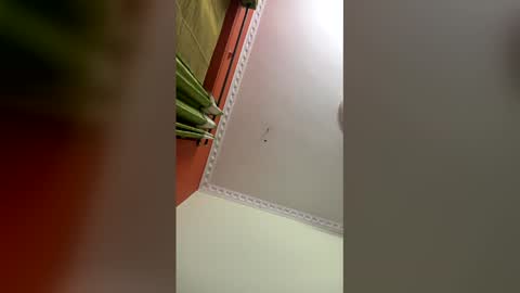 Indianboy online show from March 17, 3:17 pm