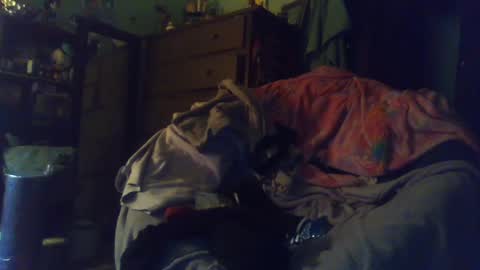 indigo_scorpio online show from February 24, 12:52 am