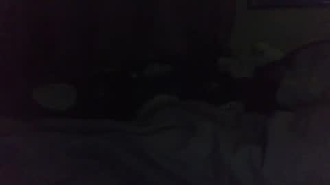 indigo_scorpio online show from February 22, 11:24 am