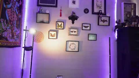   SANIA  online show from February 9, 3:48 pm