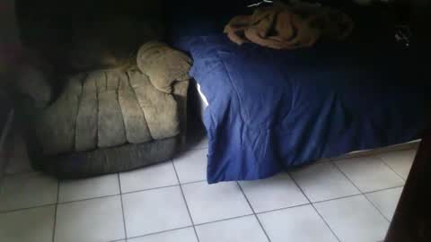 BearlyLoganFL online show from September 11, 12:17 pm