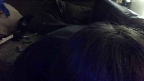 iwillsuckmyowndick online show from May 16, 7:01 pm