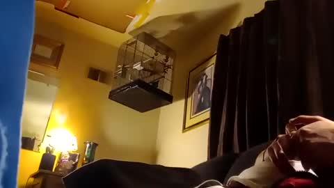 Jay Milwaukee online show from December 23, 8:11 am