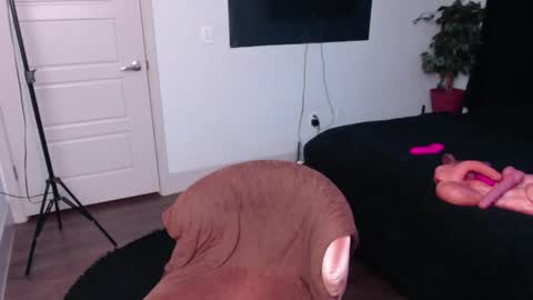 Jade online show from November 9, 11:29 pm