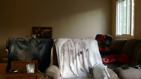 jameswolf777 online show from September 25, 1:12 am