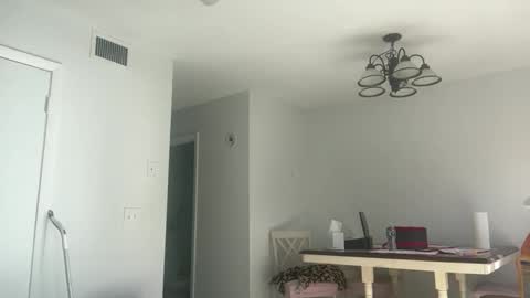 Jasmine Tate online show from November 18, 3:37 pm