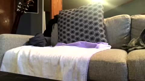 Jaws  online show from November 18, 7:28 pm