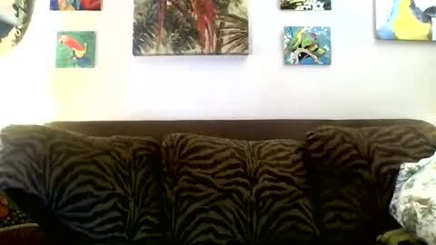 jay-jay1475 online show from March 8, 6:05 pm