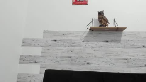 Jaycreedd online show from September 26, 2:30 am