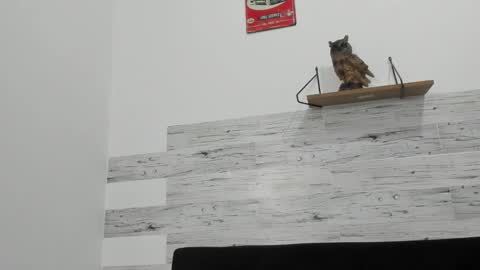 Jaycreedd online show from October 5, 1:25 am