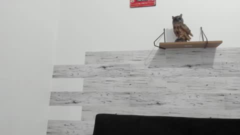 Jaycreedd online show from September 12, 12:56 am