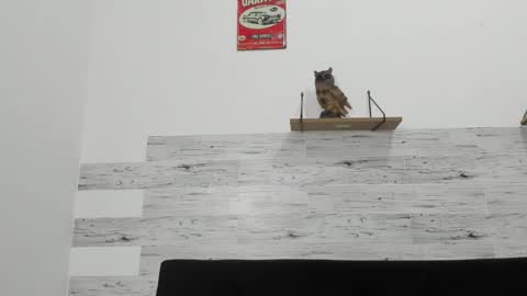 Jaycreedd online show from November 18, 3:53 am