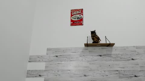 Jaycreedd online show from November 28, 4:31 am