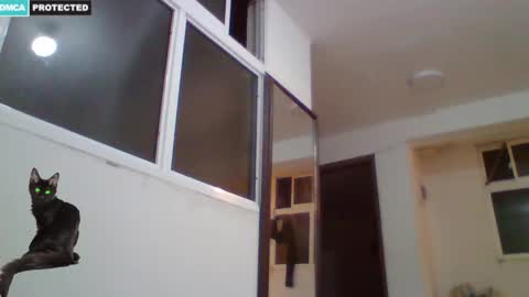 J online show from December 2, 4:02 am