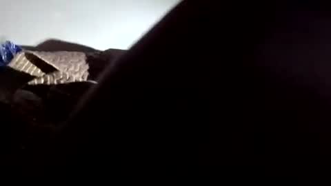 jessemwl8 online show from March 29, 2:57 am