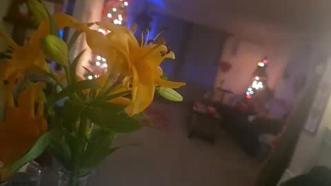 jesswick online show from February 10, 9:34 am