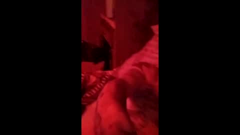 jetjon762844 online show from March 30, 8:36 am