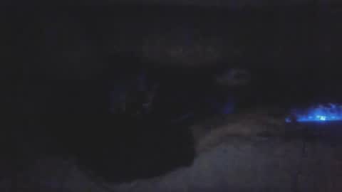 jetjon762844 online show from February 9, 10:41 am