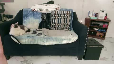 Nicole  Allen online show from February 13, 12:46 am