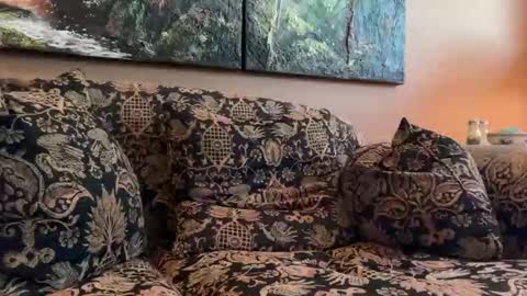 jlk7777 online show from April 17, 3:14 pm