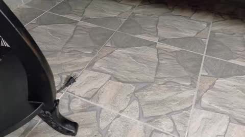 Jhulia online show from October 23, 1:45 pm