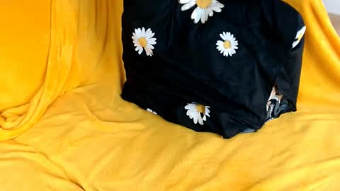 john_winx online show from February 16, 2:04 pm