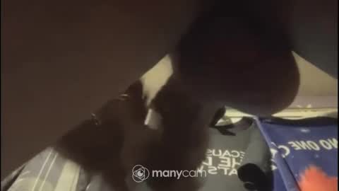 johnnyshung1 online show from February 2, 8:45 am