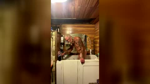 johnturtle247420 online show from July 28, 11:28 am