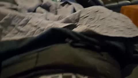 jrten28 online show from February 3, 3:15 am