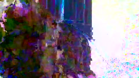 juicylatinabbw online show from March 31, 12:55 am